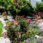 Bellezza With Heated Pool Near Split Villa Kaštela
