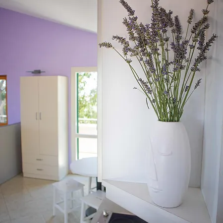 Bellezza With Heated Pool Near Split